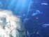 Aquarium La Rochelle n°3
