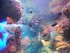 Aquarium La Rochelle n°3