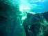 Vidéos de L'Aquarium La Roche