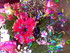 Le bouquet de fleurs féeries 