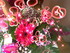 Le bouquet de fleurs féeries 