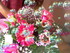 Le bouquet de fleurs féeries 