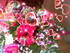 Le bouquet de fleurs féeries 