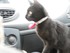 Le voyage en voiture de Monsie