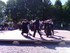 Les danses celtiques du FIL 20
