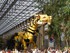 Photos du cheval-dragon Long M
