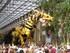 Photos du cheval-dragon Long M