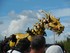 Photos du cheval-dragon Long M