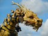 Photos du cheval-dragon Long M