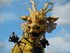Photos du cheval-dragon Long M
