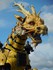 Photos du cheval-dragon Long M
