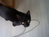 Luigi, mon petit chaton d'amou