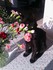Luigi et les fleurs