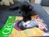 Luigi adore jouer avec les mag