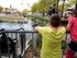 Les Animaux de la place (à la