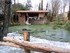 Le Puy du Fou (vidéos) n°1