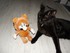 Luigi et la peluche Mario