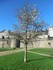 Vannes (en Bretagne)