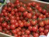 Gli ortaggi (les légumes)