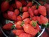 La frutta (les fruits)