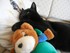 Luigi et mon doudou de naissan