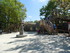 Le Temple de la Jungle