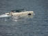 Voiture sur l'eau à Menaggio