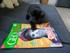 Luigi adore jouer avec les magazines (et