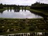 Jardins du Château de Vendeuv
