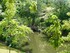 Le Jardin des Plantes à Nante