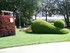 Le Jardin des Plantes à Nante