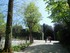 Le Jardin de Boboli n°1