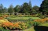 Mount Stewart garden (en Irlan