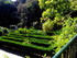 Jardim Botanico à Lisbonne