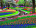 Parc Floral de Keukenhof (Pays