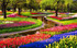 Parc Floral de Keukenhof (Pays