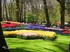 Parc Floral de Keukenhof (Pays