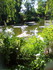 Jardins de Claude Monet à Giv