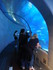 Tunnel sous-marin (Aquarium de