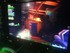 Luigi's Mansion arcade