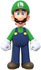 New Super Mario Bros U Deluxe