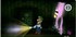 Luigi's Mansion (3DS)
