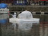 Un igloo à Honfleur