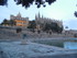 Palma n°1