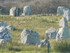 Les menhirs de Carnac