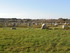 Les menhirs de Carnac