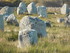 Les menhirs de Carnac