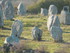 Les menhirs de Carnac