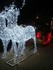 Noël en Vendée de nuit