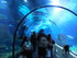 Aquarium de Barcelone (Octobre